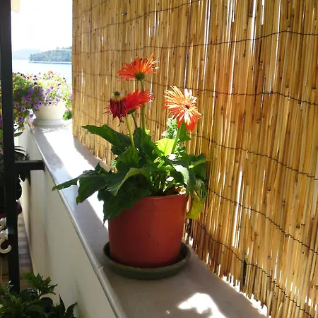 Sundy's Nydri (Lefkada)